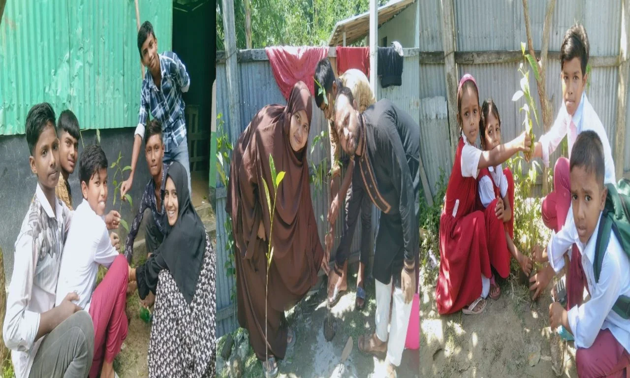 লালমনিরহাটে শিক্ষার্থীদের মাঝে গাছের চারা বিতরণ ও সচেতনতা কর্মসূচি।