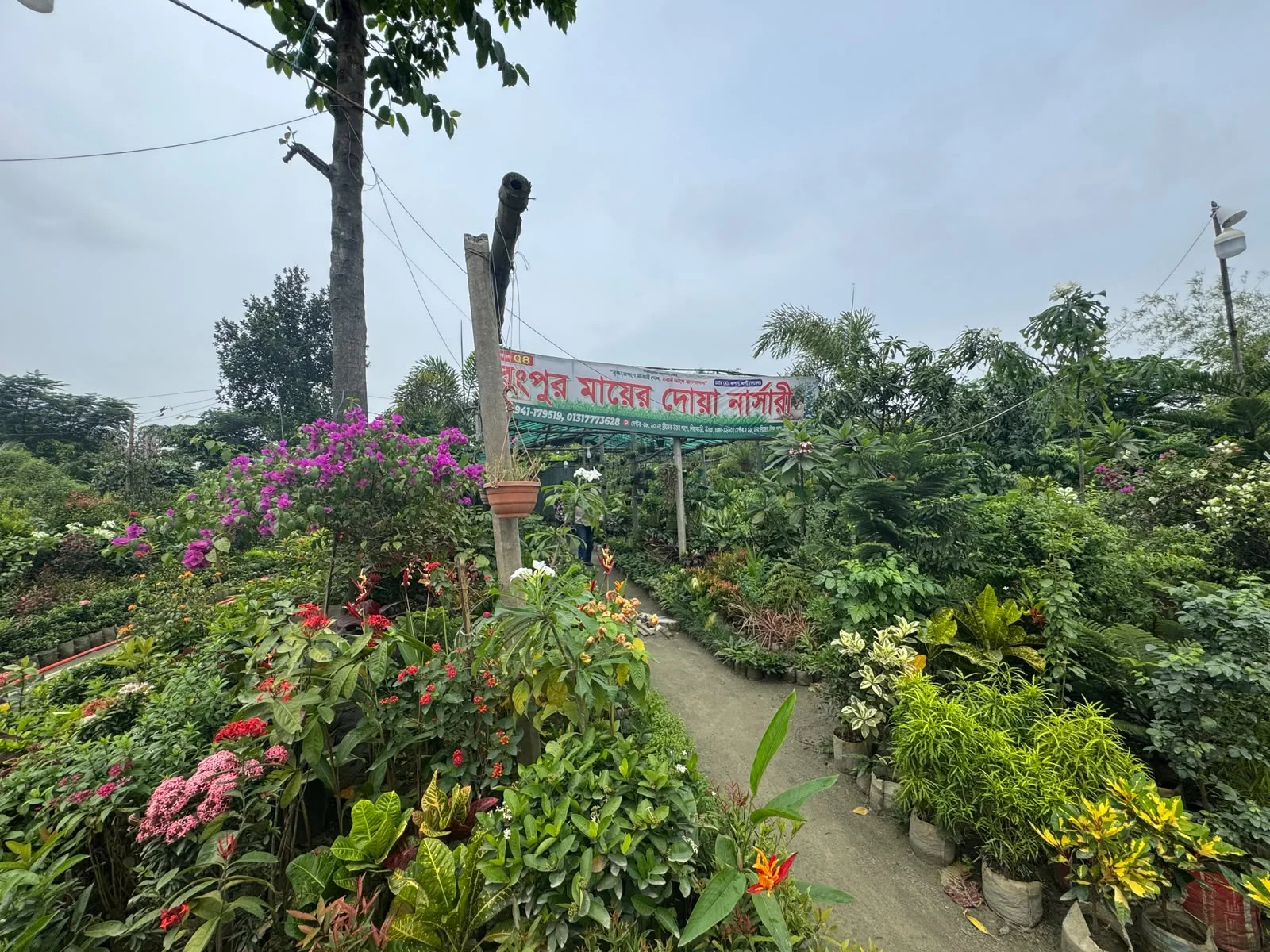 উত্তরা ১৮ নম্বর সেক্টরে কোটি টাকার নার্সারি উচ্ছেদের পাঁয়তারা