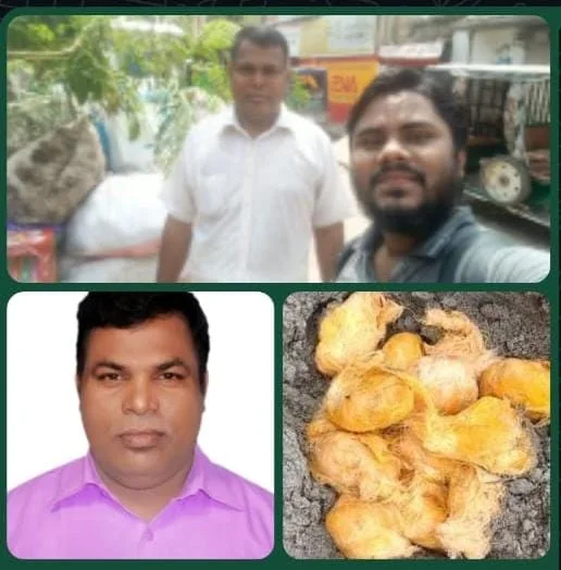নওগাঁ ছেড়ে পঞ্চগড়ে তাল বীজ, দেবীগঞ্জে উপহার দিলেন ২২ শত তালবীজ ও চারা