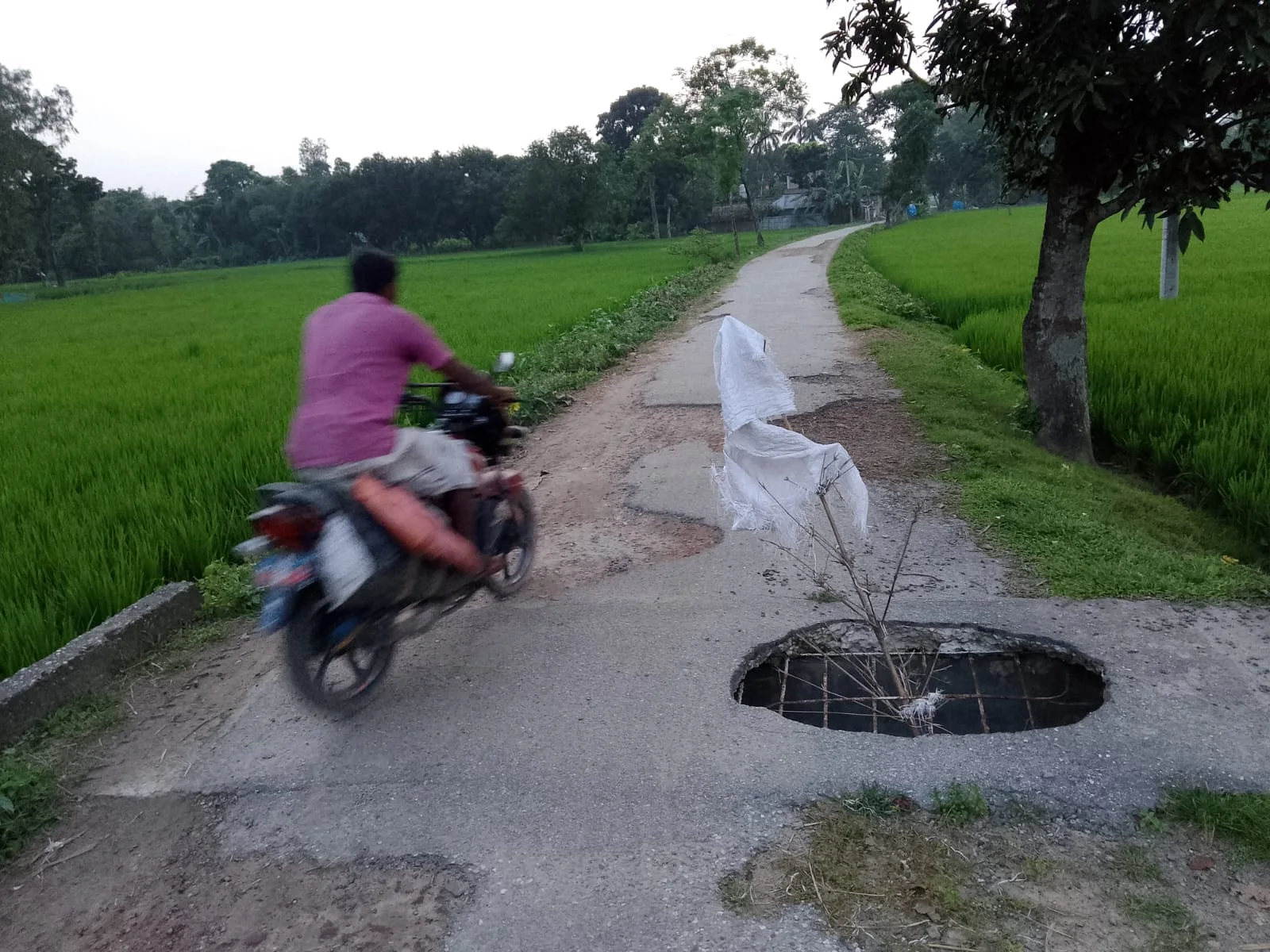 ঢোলারহাট-আখানগর সড়কের বেহাল দশা, কালভার্টে বড় গর্তে দুর্ভোগ