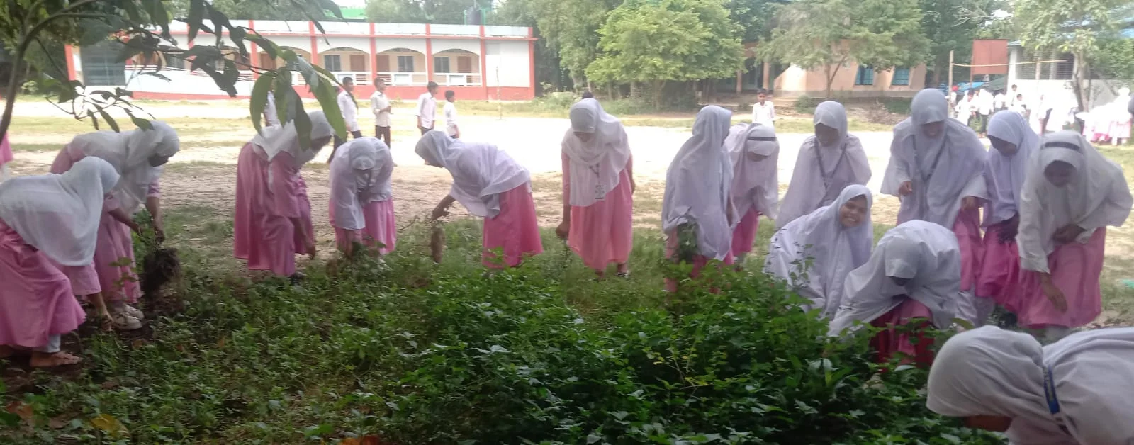 ডেঙ্গু প্রতিরোধে জেলার শিক্ষা প্রতিষ্ঠানে পরিষ্কার-পরিচ্ছন্নতা অভিযান