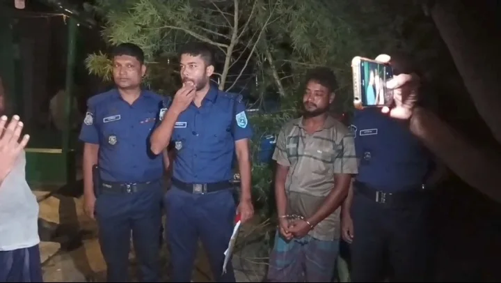 ঘোড়াঘাটে আদা ক্ষেতের আড়ালে গাঁজা চাষ, ১২ ফুট উঁচুদুটি গাছসহ যুবক গ্রেপ্তার