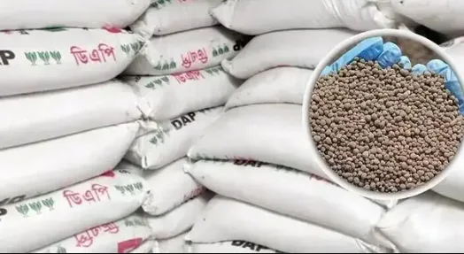 মির্জাপুরে সার ডিলার নিয়োগ ঘিরে বিতর্ক, রাজনৈতিক প্রভাবের অভিযোগ
