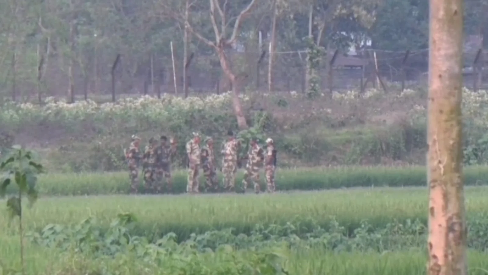 লালমনিরহাট বুড়িমারী সীমান্তে নারী-শিশুসহ ১২ জনকে পুশইনের চেষ্টা বিএসএফের,