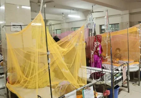 ডেঙ্গুতে আরও পাঁচজনের মৃত্যু, এক দিনে হাসপাতালে ভর্তি ১ হাজার ৩৬৬