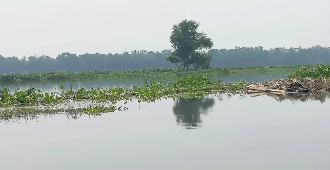 মুনসুরের বিলে মাছ ধরায় বাধা, মৎস্যজীবীকে মারধরের অভিযোগ থানায়