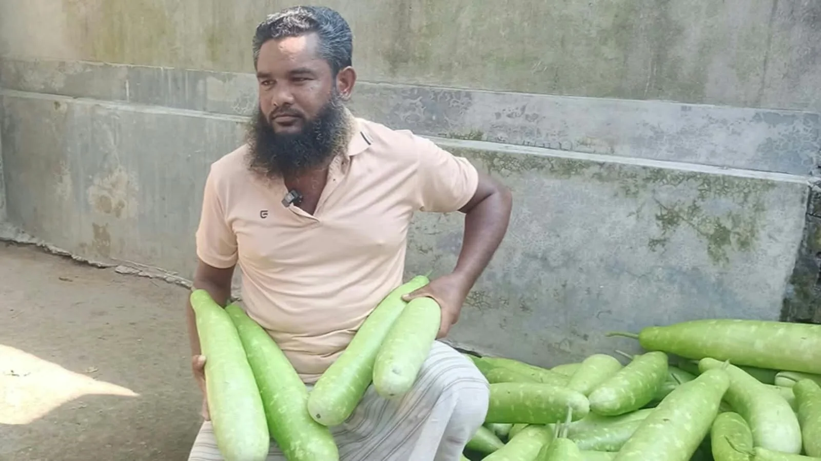আটোয়ারীতে লাউ চাষে ধস, লোকসানের বোঝা মাথায় বাগান কাটছেন কৃষক
