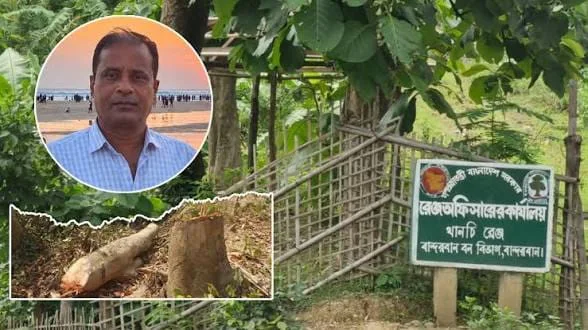 থানচি রেঞ্জে বনদস্যুদের দৌরাত্ম্যের অভিযোগ উঠেছে,