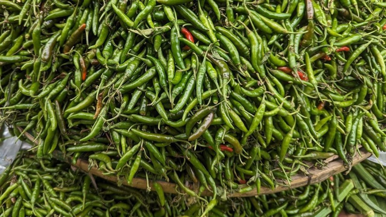 দাম কমাতে কাঁচা মরিচ আমদানির অনুমতি দিল সরকার