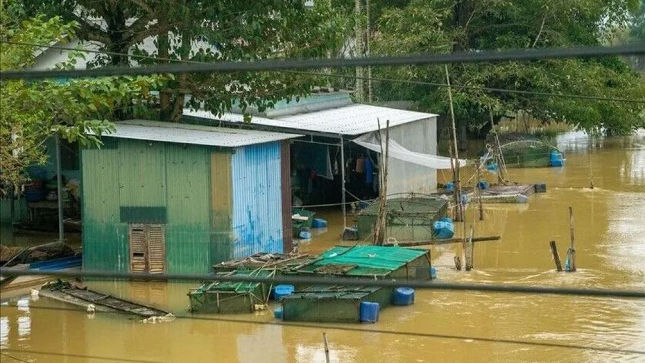 শ্রীলঙ্কায় বন্যার তাণ্ডবে বিপর্যস্ত, নিহত ৬