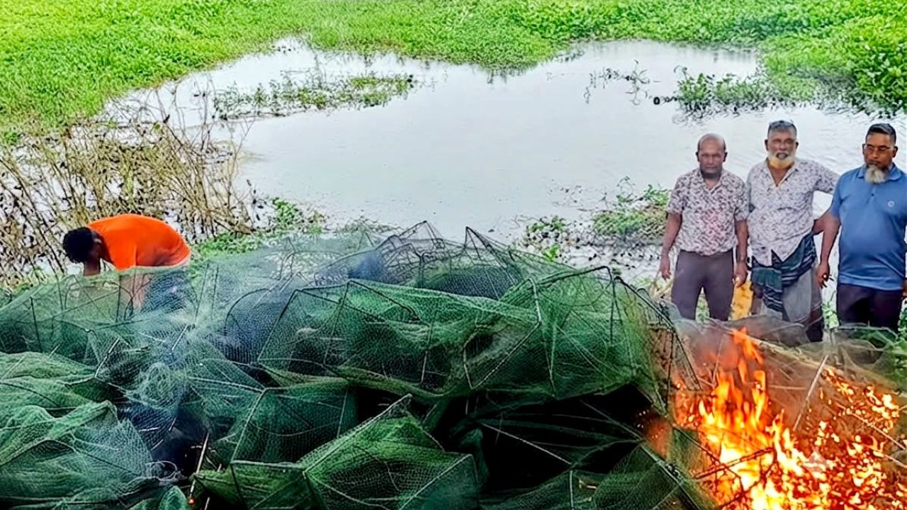 মুকসুদপুরে দুই লাখ টাকার অবৈধ চায়না জাল ধ্বংস
