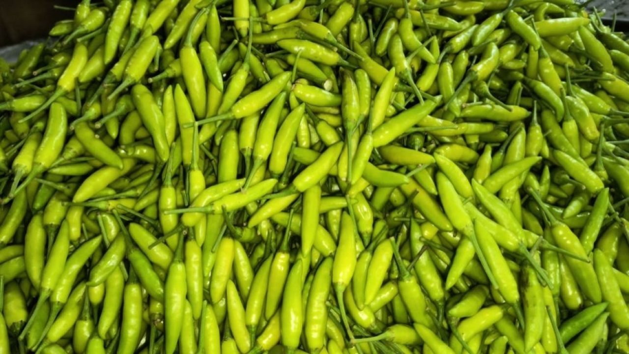 আমদানি বাড়তেই কমল মরিচের ঝাঁজ