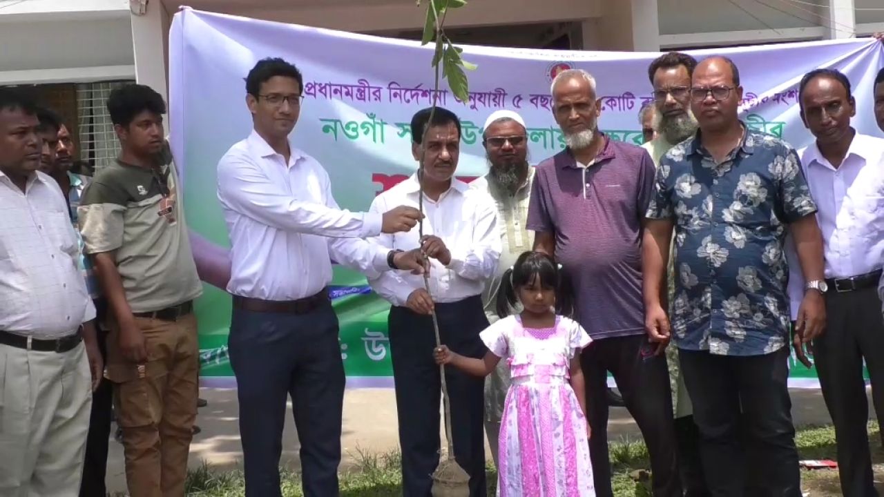 নওগাঁয় শিক্ষার্থীদের মাঝে    গাছের চারা ও স্কুলে বেঞ্চ বিতরণ