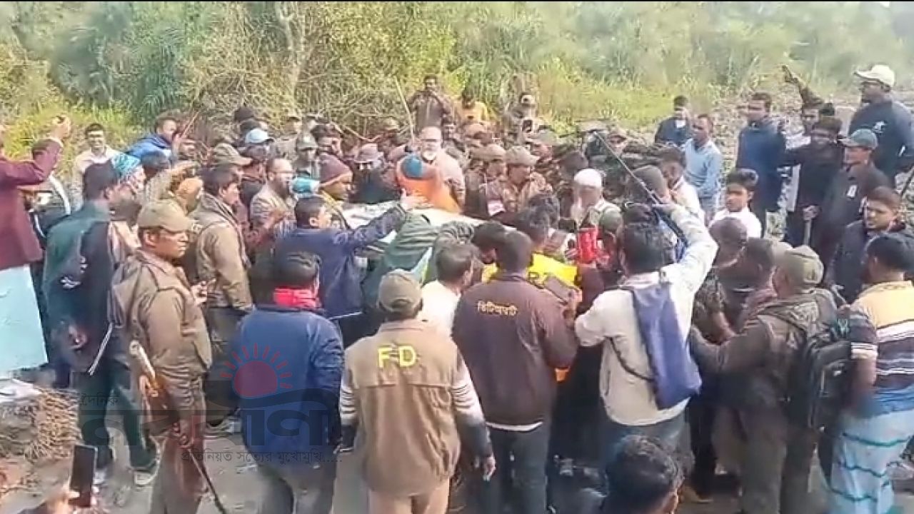 সুন্দরবনে চোরাশিকারিদের ফাঁদে আটকে পড়া বাঘ উদ্ধার