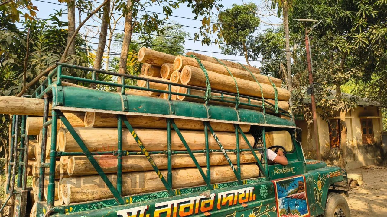 মাটিরাঙ্গায় সেনাবাহিনীর অভিযানে অবৈধ সেগুন কাঠ জব্দ