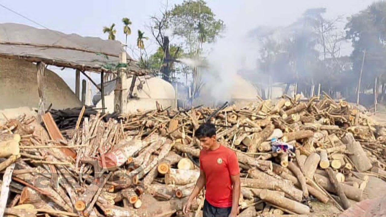 আজগরকাঠীতে অবৈধ কাঠের চুল্লিতে ভয়াবহ পরিবেশ বিপর্যয়