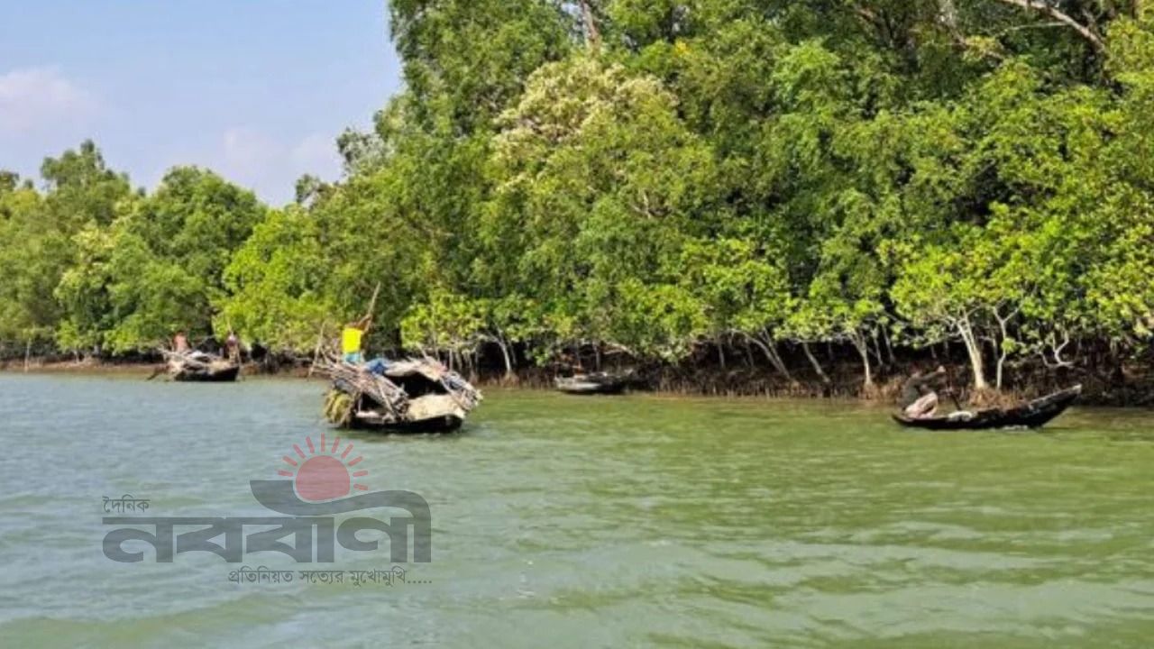 সুন্দরবনে ‘ডন বাহিনী’র' তাণ্ডব: ২০ জেলেকে অপহরণ, মুক্তিপণ দাবি