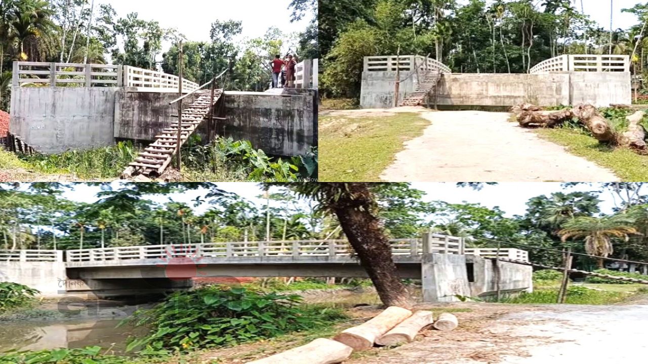 ঝালকাঠিতে মই বেয়ে উঠতে হয় দুই কোটি টাকার সেতুতে, দুর্ভোগে হাজারো মানুষ