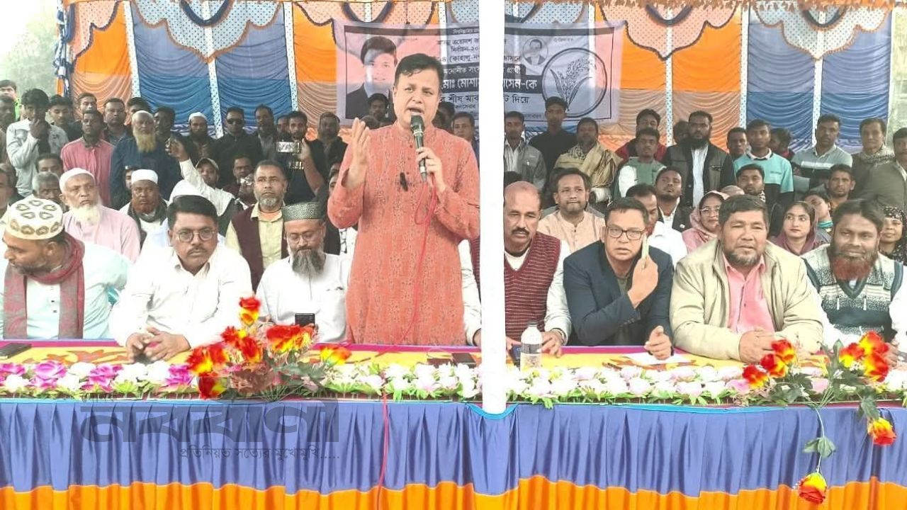 ধানের শীষ মানুষের অধিকার, গণতন্ত্র ও ন্যায়ের প্রতীক : সাবেক সংসদ সদস্য মোশারফ হোসেন