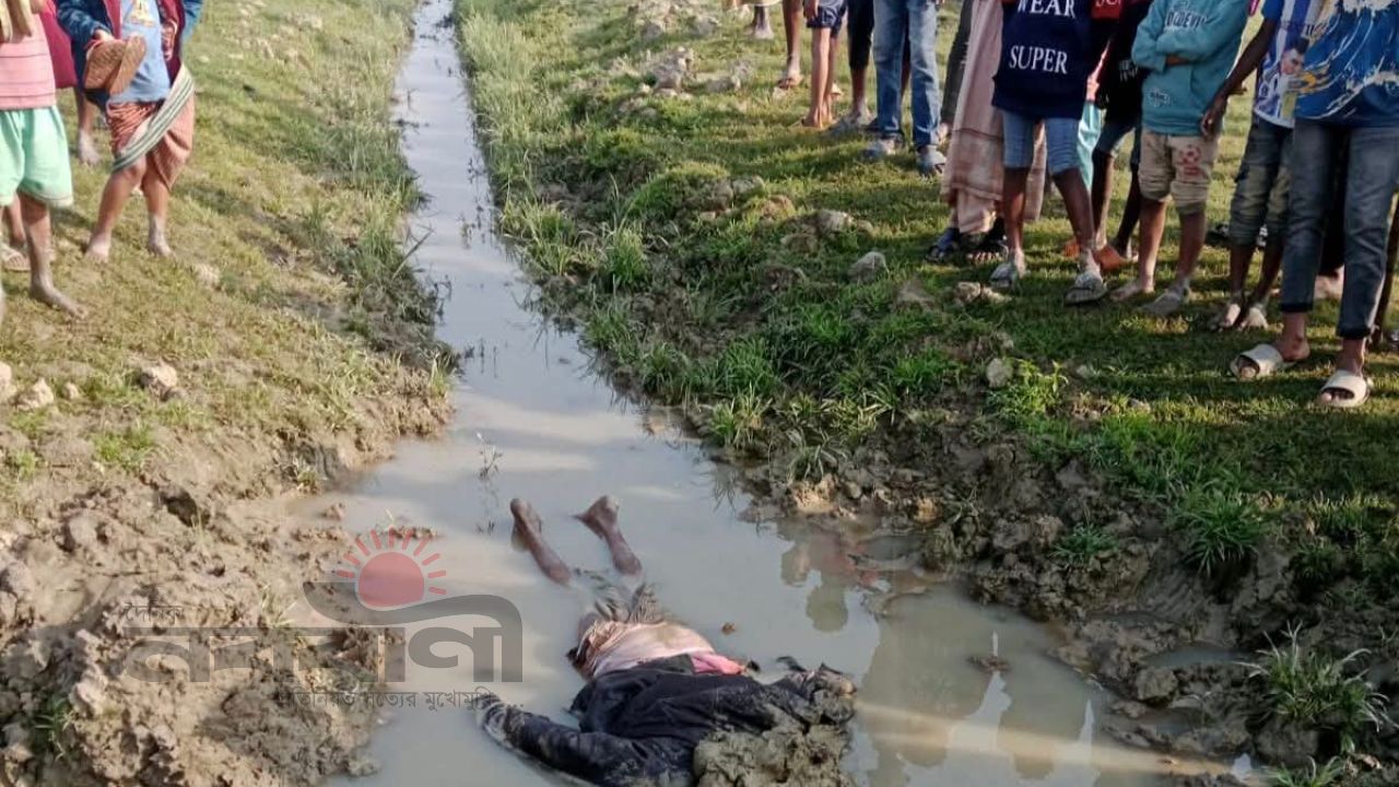 কিশোরগঞ্জ মিঠামইন হাওরে গলাকাটা মরদেহ উদ্ধার: তদন্তে পুলিশ