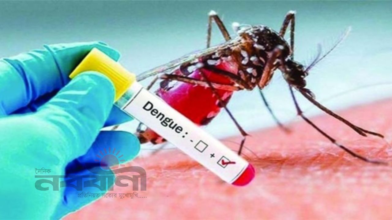 ২৪ ঘণ্টায় নতুন ১৪ জন ডেঙ্গু রোগী হাসপাতালে ভর্তি