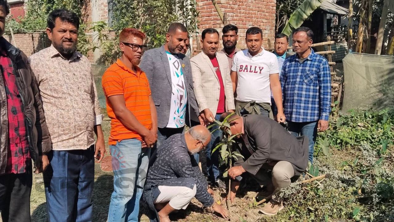বগুড়ার শাজাহানপুরে প্রাথমিক শিক্ষার্থীদের মাঝে ফলজ চারা বিতরণ       