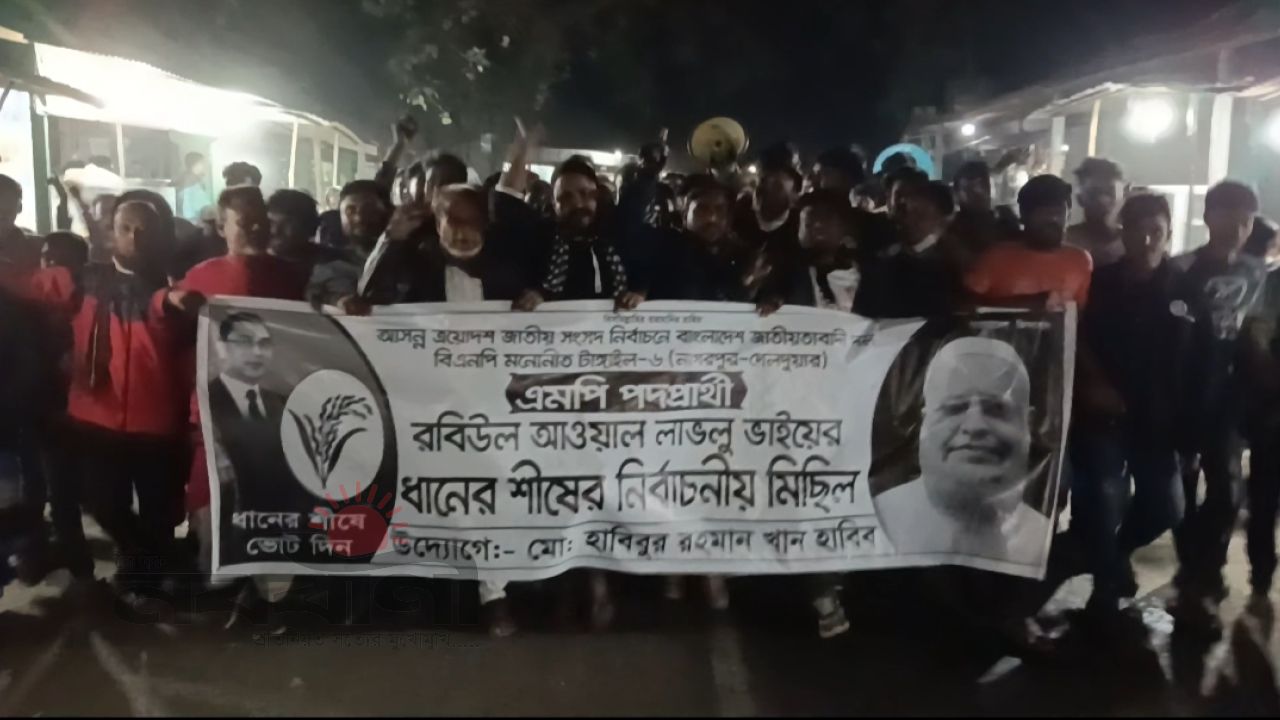 নাগরপুরে ধানের শীষের নির্বাচনীয় মিছিল  