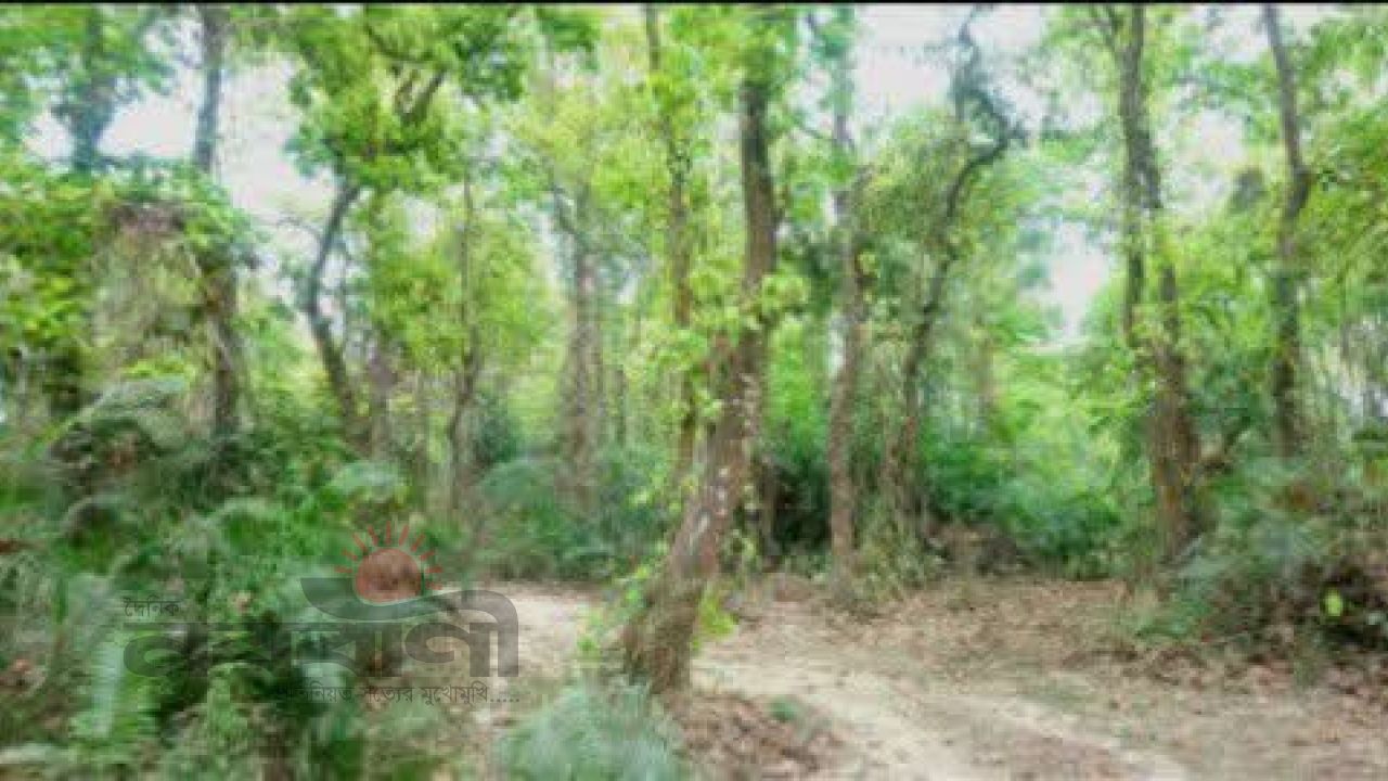 ভালুকায় দুর্বৃত্তদের আঘাতে আহত বন কর্মকর্তা  