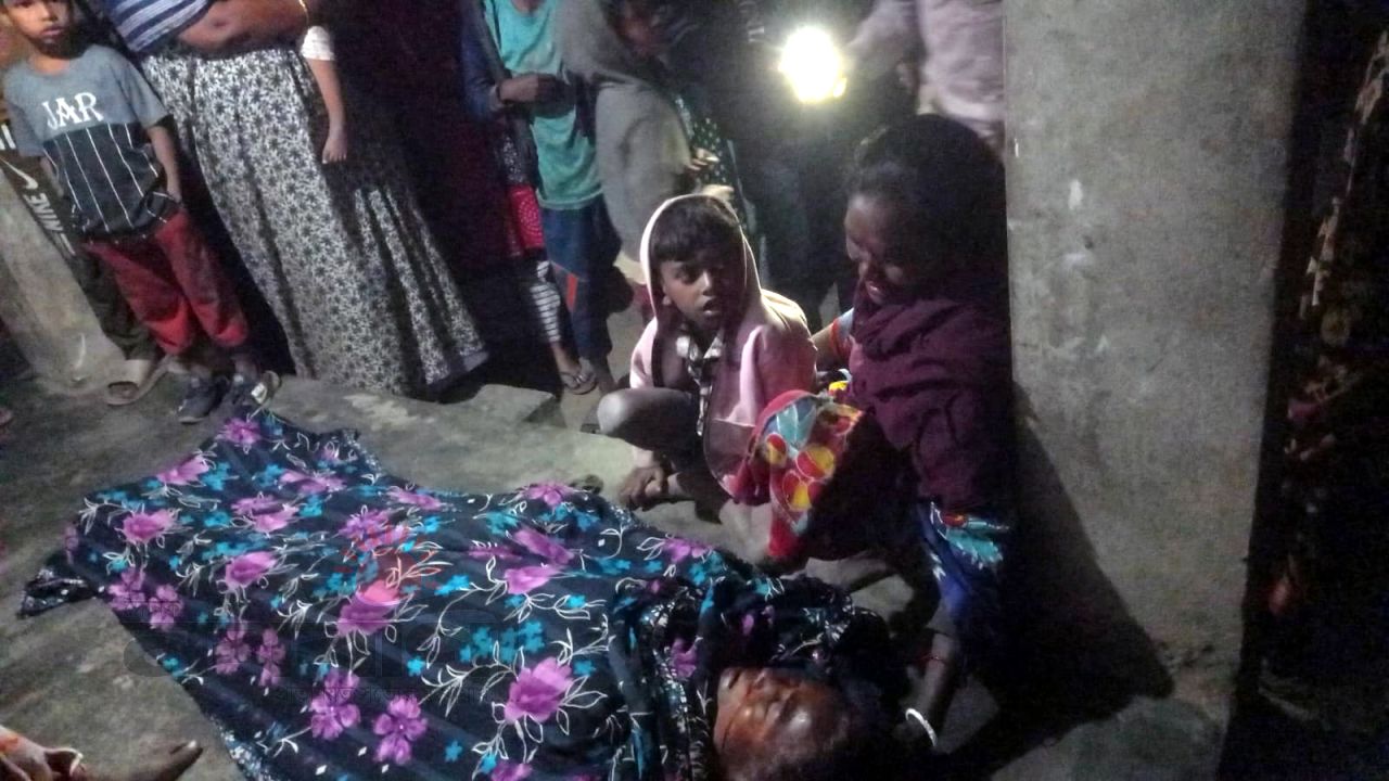 জীবননগরে আলমসাধু উল্টে নারীর মৃত্যু, আহত ১৫