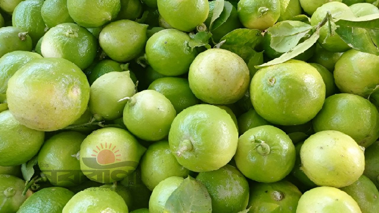 রমজান আসতেই লেবুতে লংকাকাণ্ড, ক্ষুব্ধ ক্রেতারা