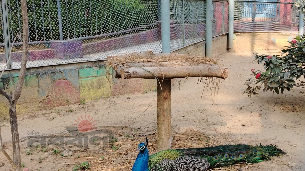 জীবনের আহ্বান 