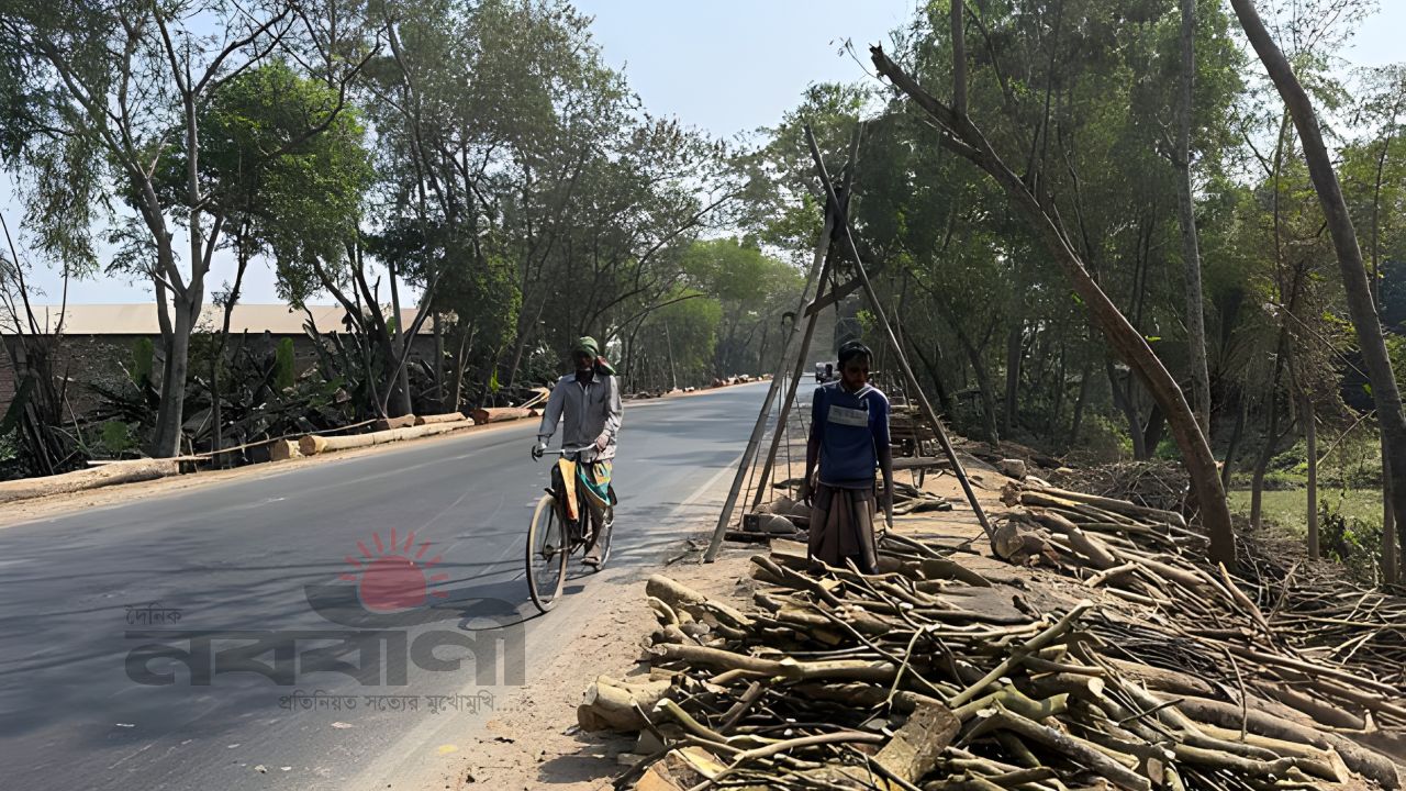 ঝিনাইদহ-কুষ্টিয়া মহাসড়ক দখল করে কাঠের ব্যবসা, বাড়ছে দুর্ঘটনার ঝুঁকি