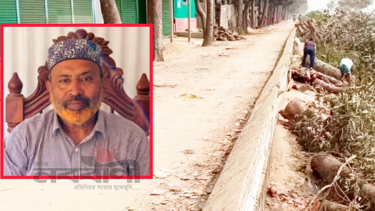 কিশোরগঞ্জে নদীভাঙন রোধের গাছ কেটে ফেলার অভিযোগ