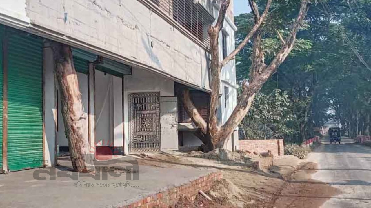 ধুনটে সরকারি রাস্তা দখল করে বহুতল ভবন নির্মাণ, হুমকির মুখে গাছ ও জননিরাপত্তা