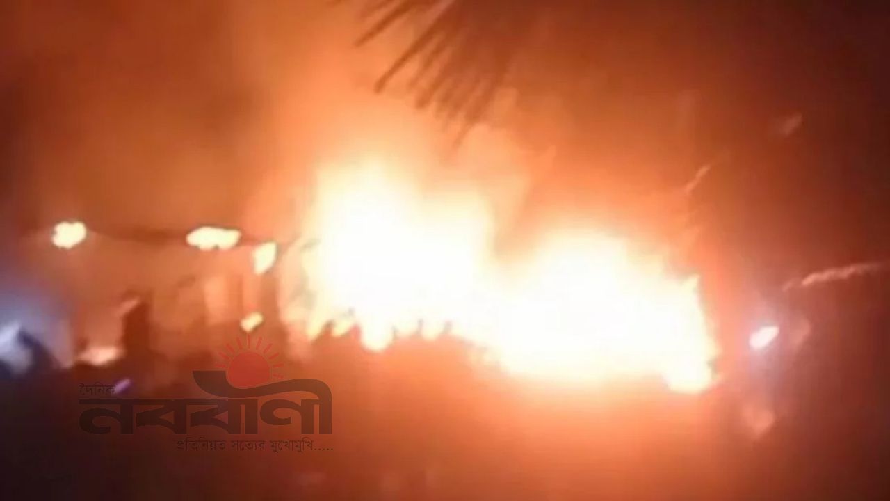 মাদারীপুরে খামারে আগুনে ৭ গাভী ও ২০ হাঁস পুড়ে নিঃস্ব খামার মালিক