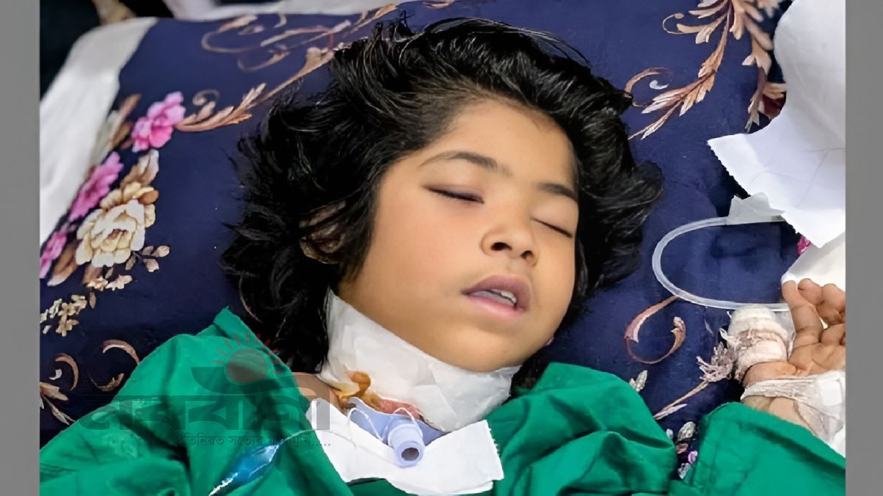 ইকোপার্কে গলাকাটা অবস্থায় উদ্ধার হওয়া সেই শিশুটি মারা গেছে