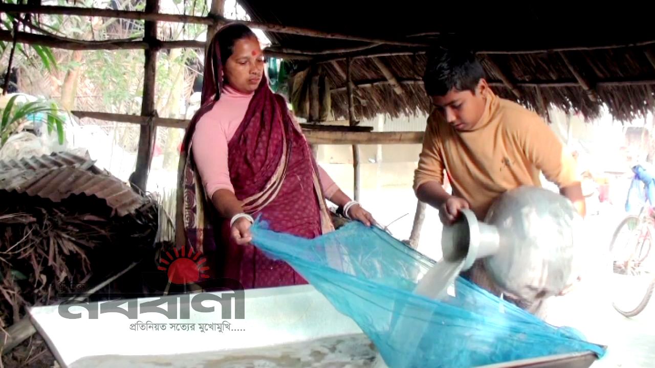 বরগুনায় ৩০০ পরিবারের আয়ের উৎস 