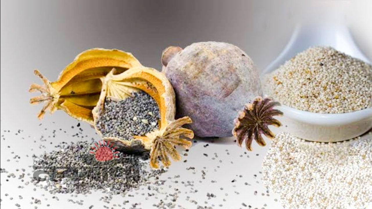 আবারও আলোচনায় নিষিদ্ধ মাদকদ্রব্য পোস্তদানা