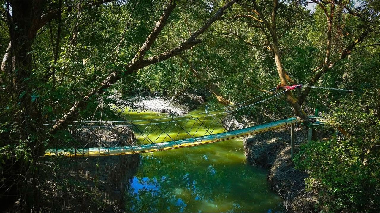 বঙ্গোপসাগরের বুকে নিঃশব্দ স্বর্গ, ঈদের ছুটিতে যান পটুয়াখালীর চর হেয়ারে