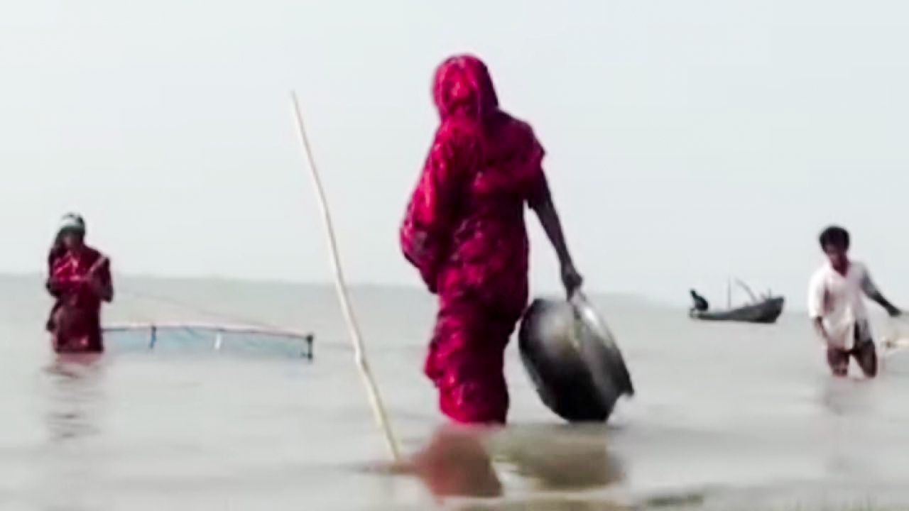 বরগুনায় ব্লু নেট দিয়ে অবাধে চলছে রেণু পোনা শিকার