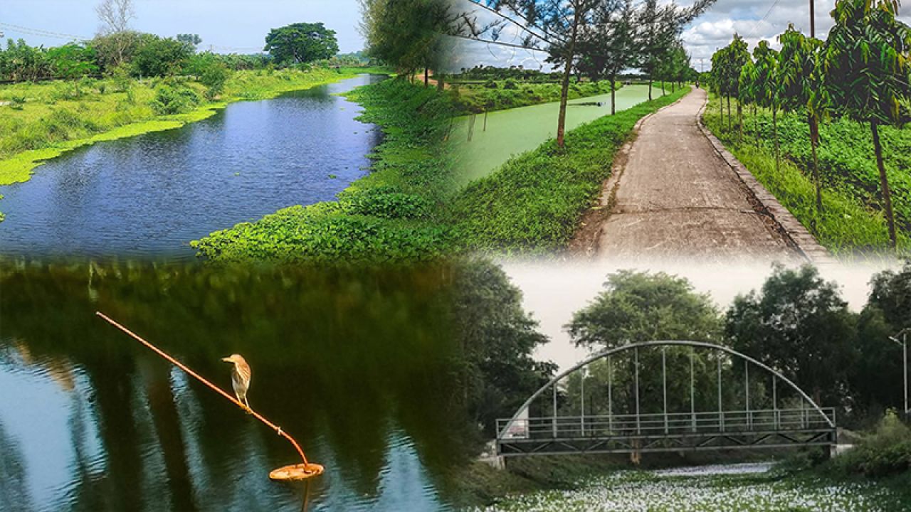 ইবির ‘মীর মুগ্ধ সরোবর’ যেভাবে হয়ে উঠেছে ভালোবাসা-বন্ধুত্ব-স্মৃতির ঠিকানা