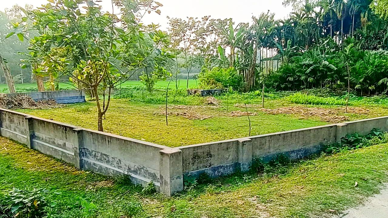 পারিবারিক কবরস্থানে টিআর প্রকল্পের অর্থ বরাদ্দের অভিযোগ