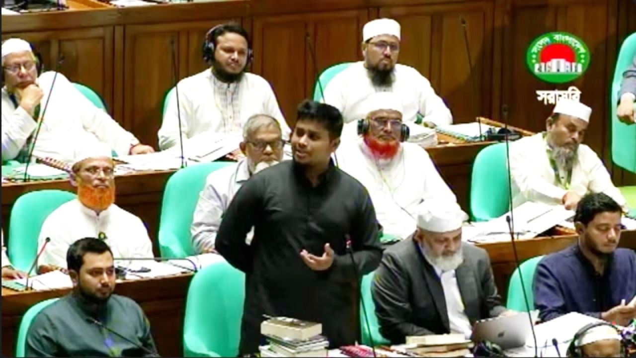 সংসদে দাঁড়িয়ে নেতার সমালোচনা করতে চাই: হাসনাত