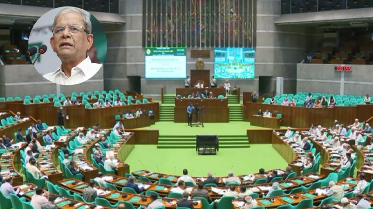 সব স্তরের স্থানীয় নির্বাচন শেষ করতে লাগতে পারে এক বছর: মির্জা ফখরুল