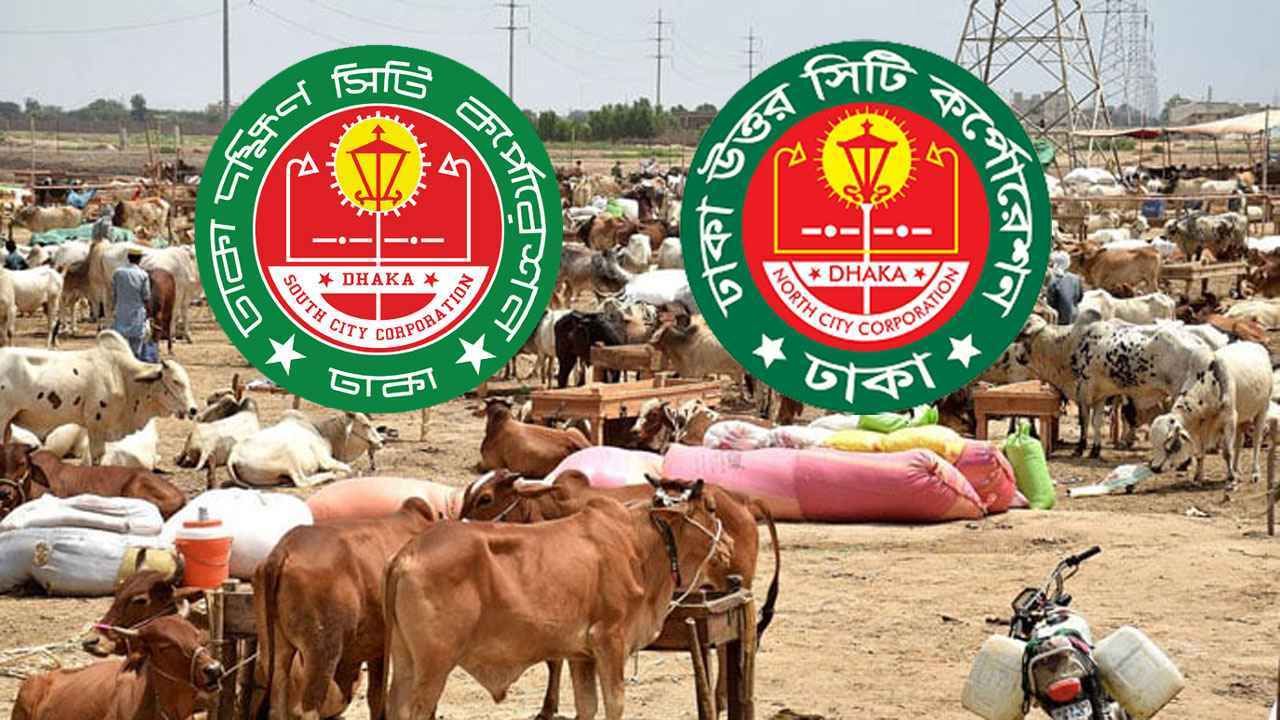 ইদকে কেন্দ্র করে পশুর হাটে সিসি ক্যামেরা ও কন্ট্রোল রুম স্থাপন: ডিএমপি 