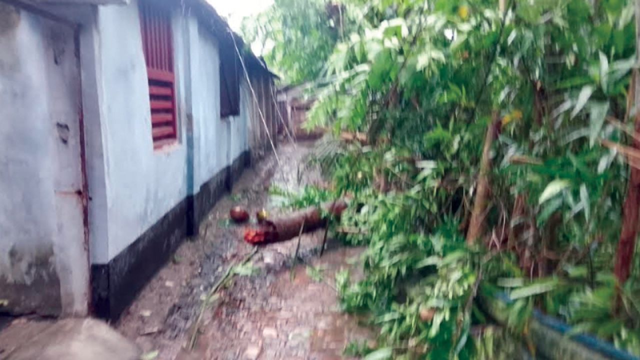 কালবৈশাখীর তাণ্ডবে সাতক্ষীরায় তালগাছ চাপায় শিশুর মৃত্যু