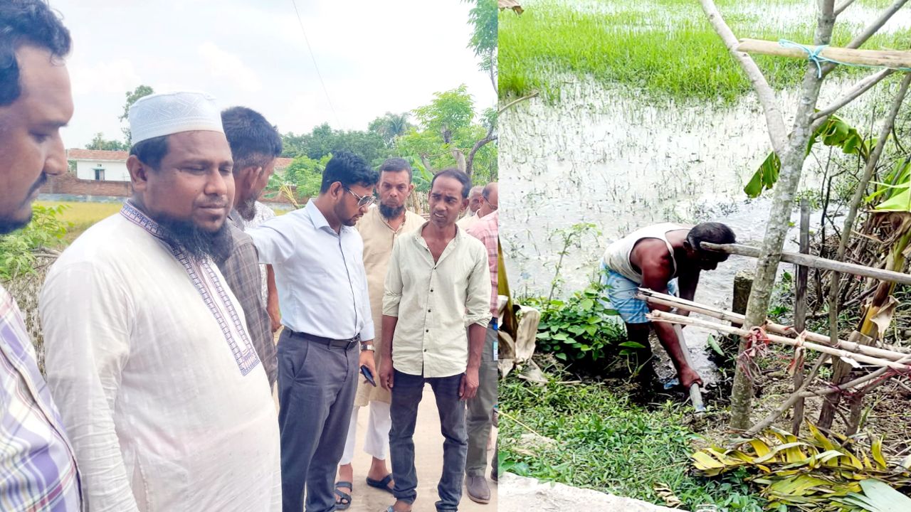 হাটহাজারীতে দ্রুত প্রশাসনিক হস্তক্ষেপে রক্ষা পেল পাকা ধান