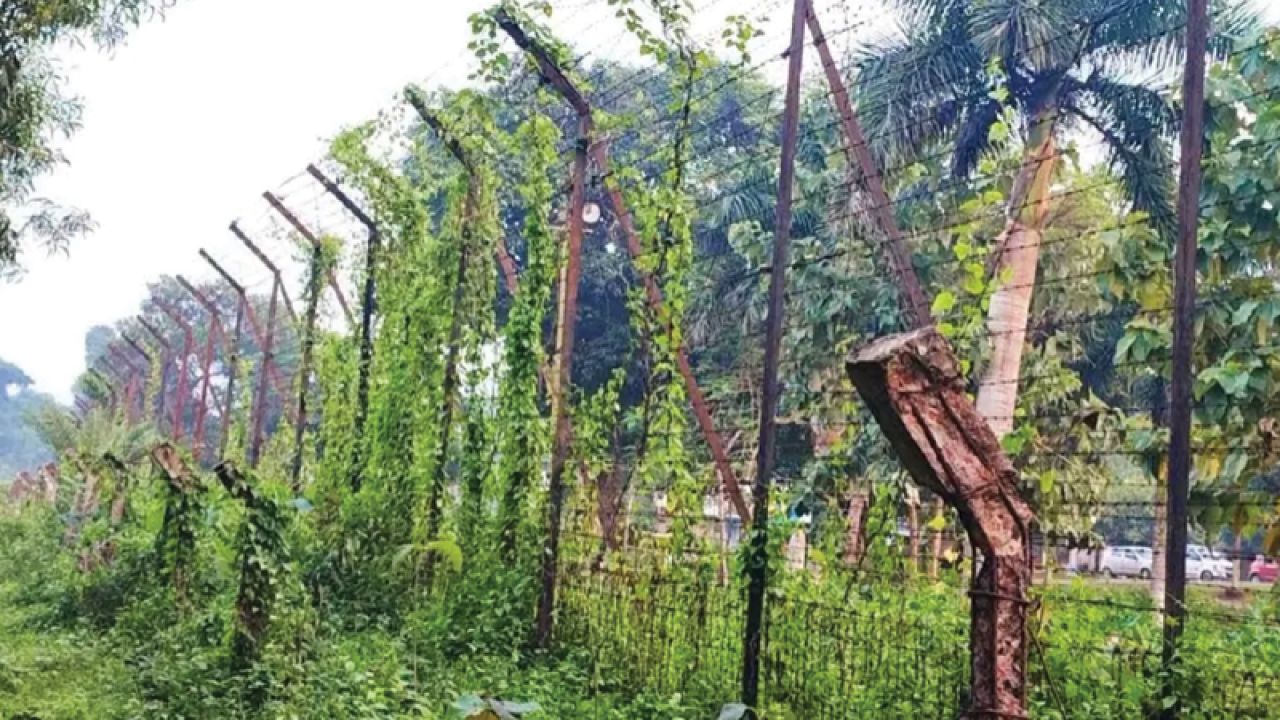 ব্রাহ্মণবাড়িয়ার কসবা সীমান্তে বিএসএফের গুলিতে বাংলাদেশি নিহত