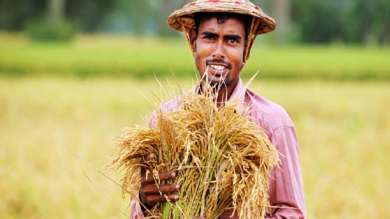 জলাবদ্ধতায় ক্ষতিগ্রস্ত কৃষকদের সঙ্গে মতবিনিময় এমপি কামরুজ্জামান কামরুলের
