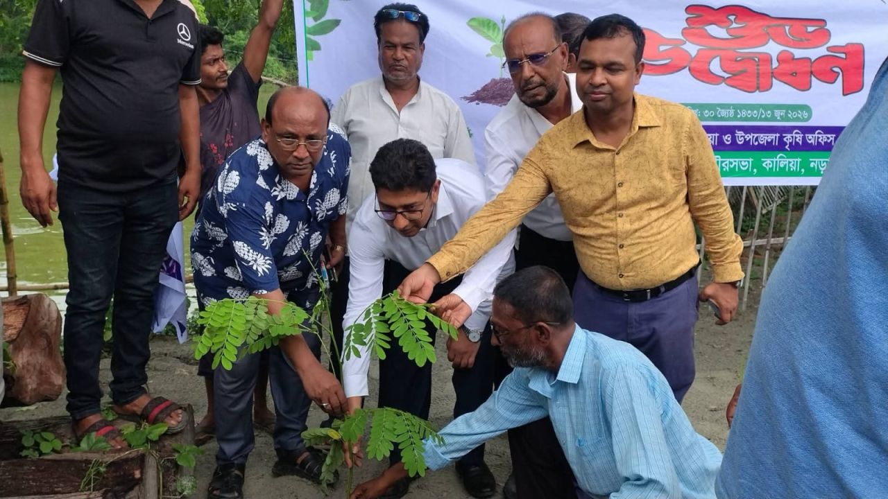 কালিয়া উপজেলায় বিএনপির বৃক্ষরোপণ কর্মসূচি উদ্বোধন